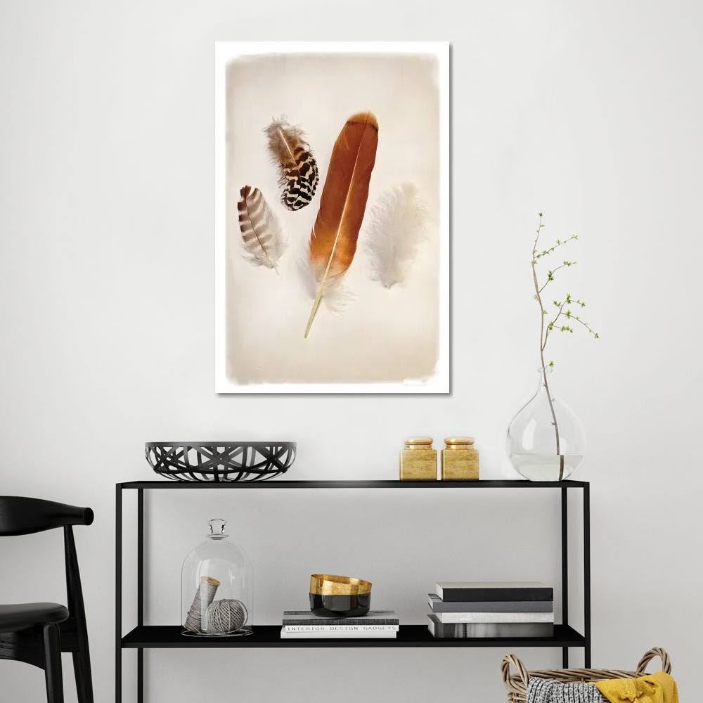 Canvas Wall Decor Prints - Feather Group I Q439415