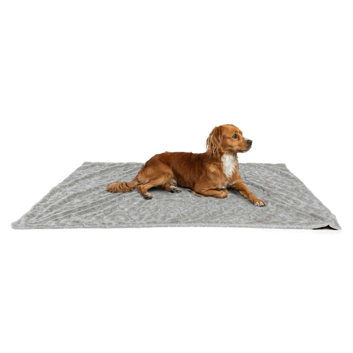 Calming Lux Fur Cat & Dog Blanket E62394
