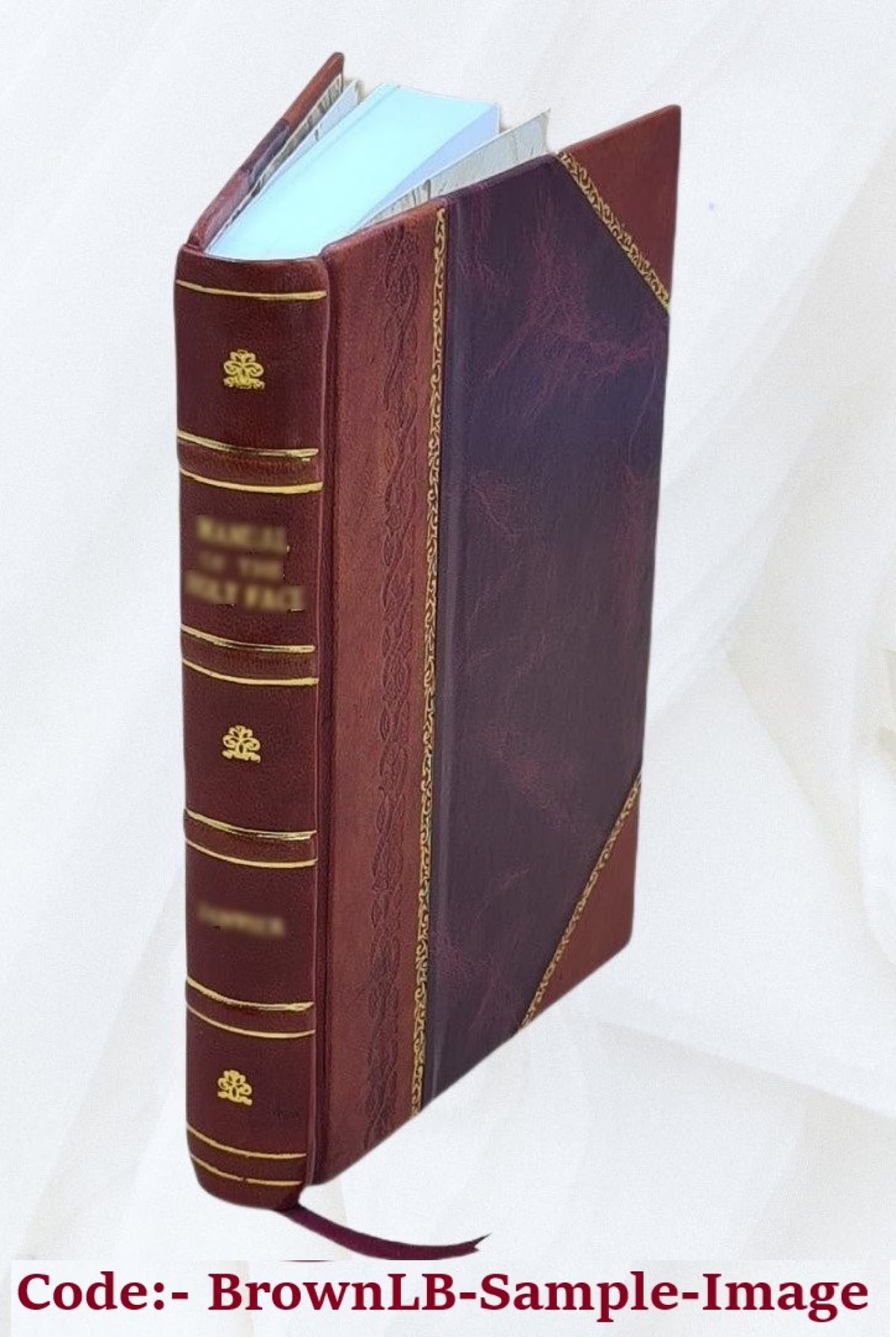Leather Bound Book Z80660