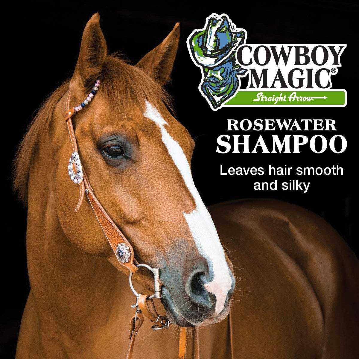 Shampoo + Conditioner 32 Ounce Bottles Detangler and Shine 4oz C3026