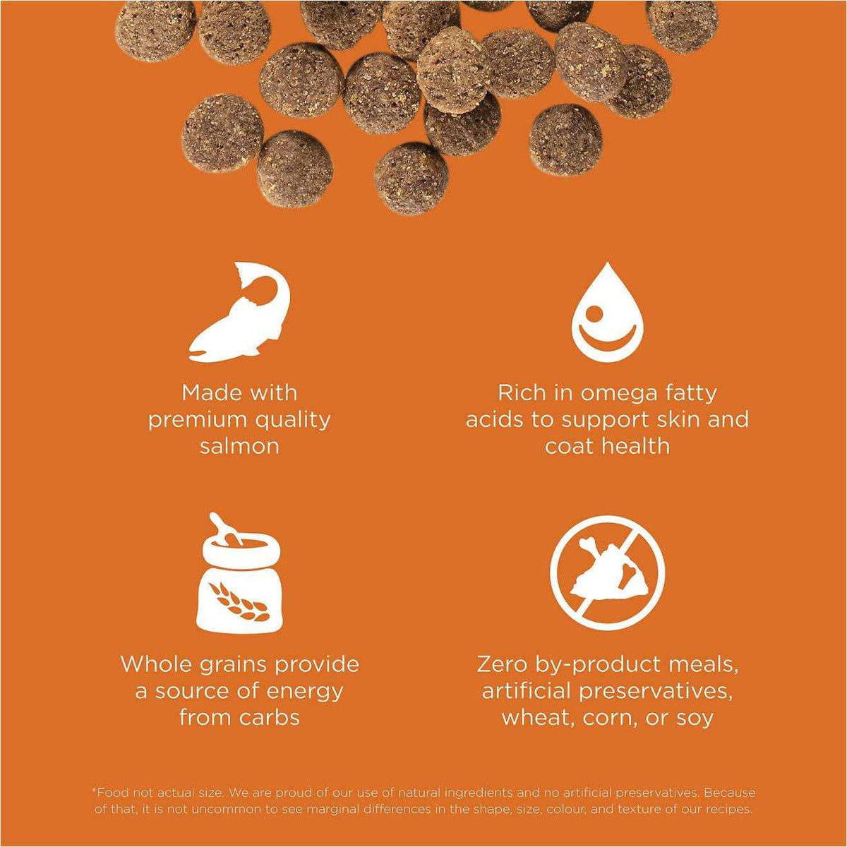 Salmon Recipe Dry Dog Food H266