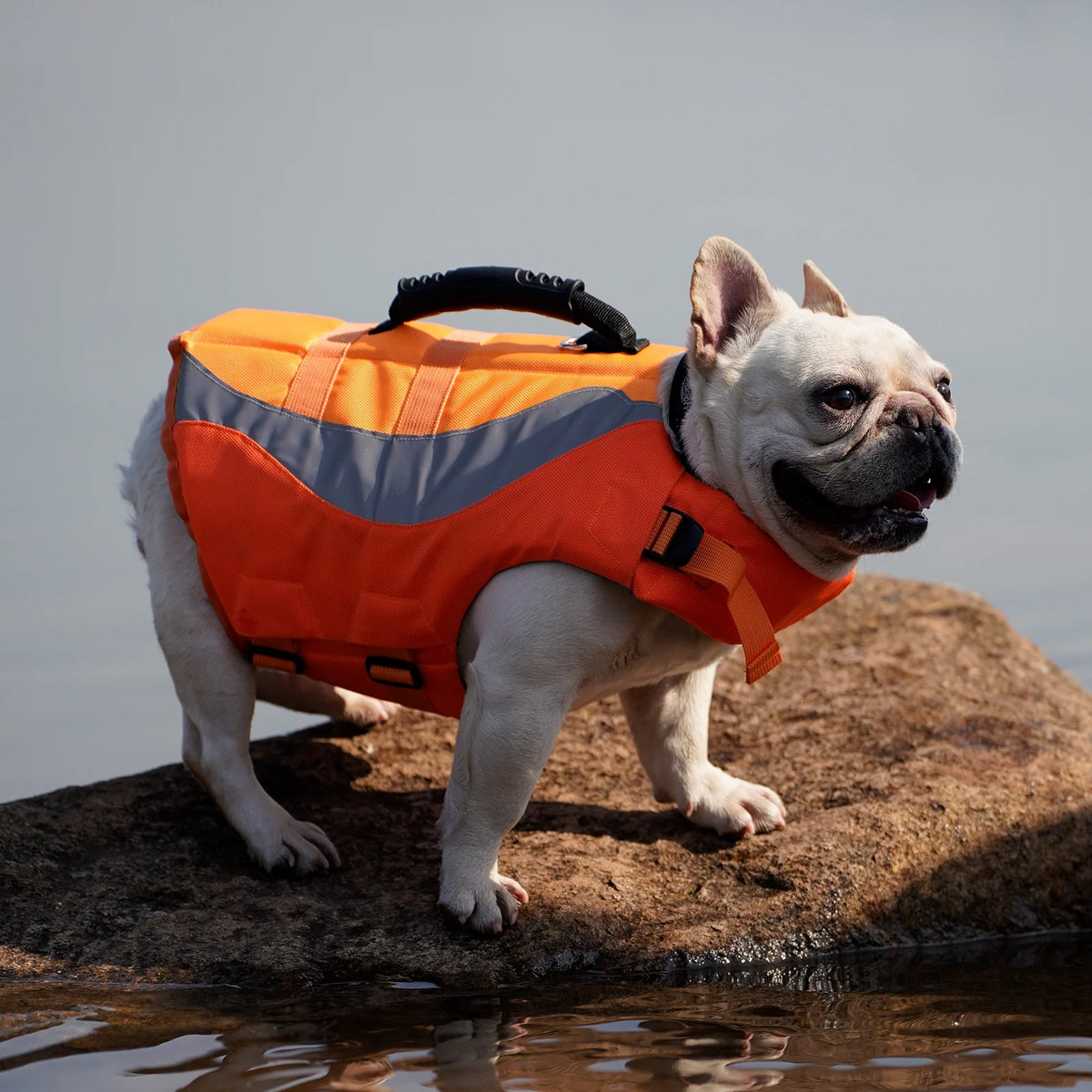 Dog Life Jacket Pet Life Vest Flotation Device N321177