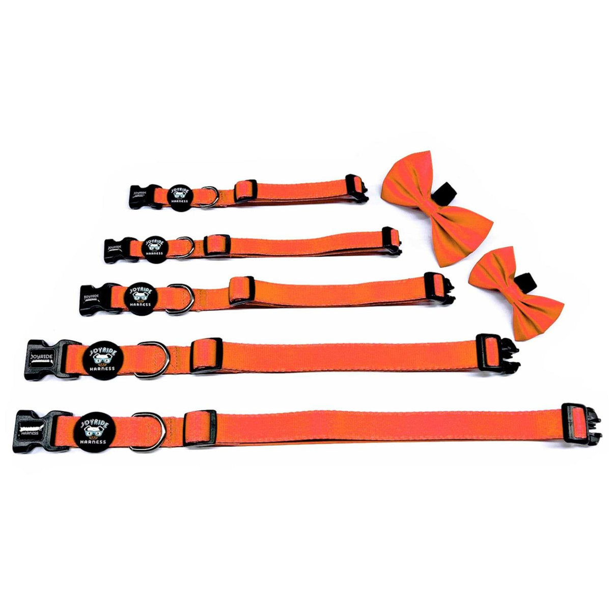 Dog Collar with Removable Bow Tie H593803