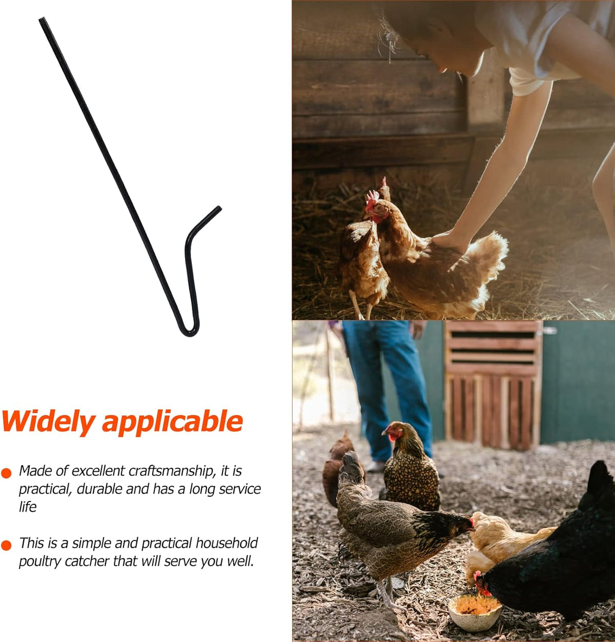 1pc Chicken Catcher Hook Pole Rod Pack of 2 X313552