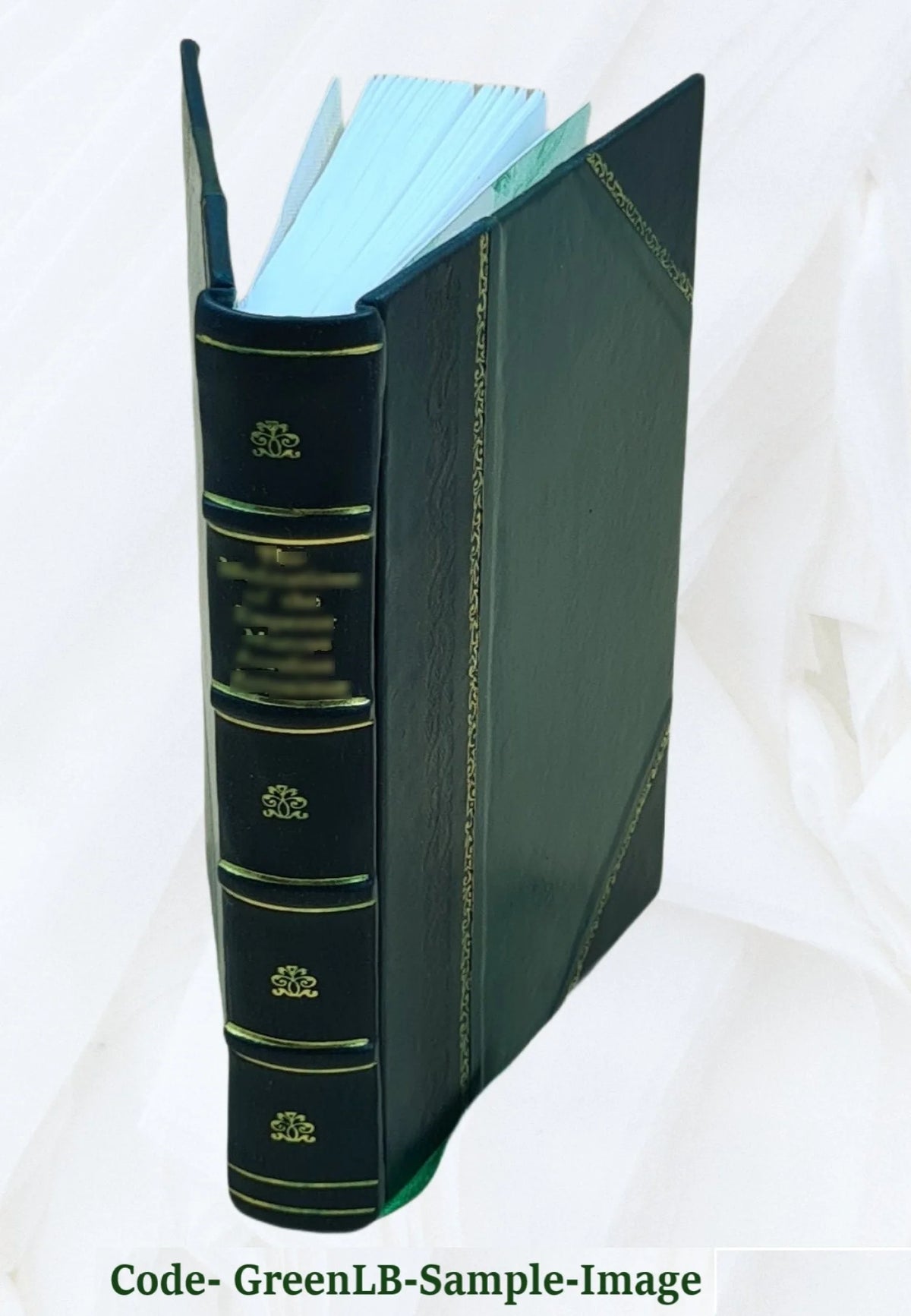Leather Bound Book Z80660