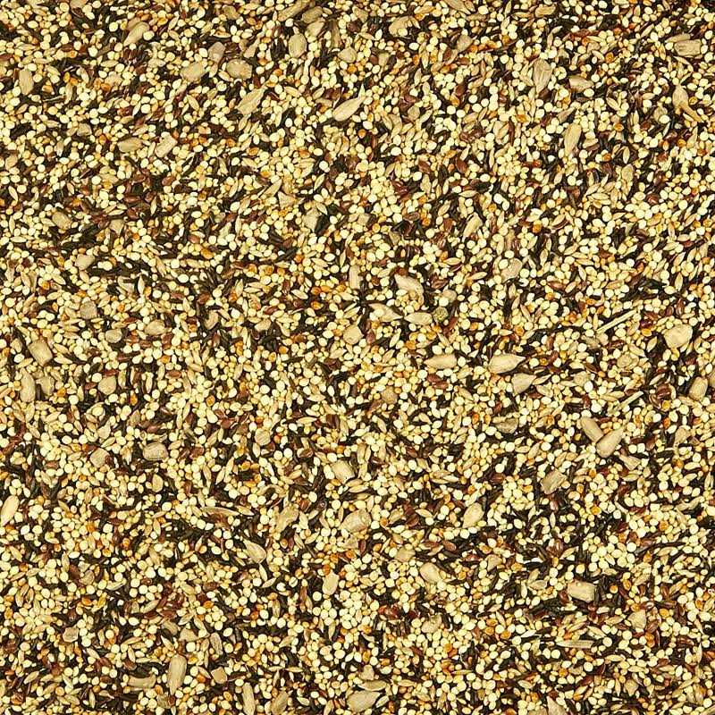 Finch Blend Wild Bird Food C495546