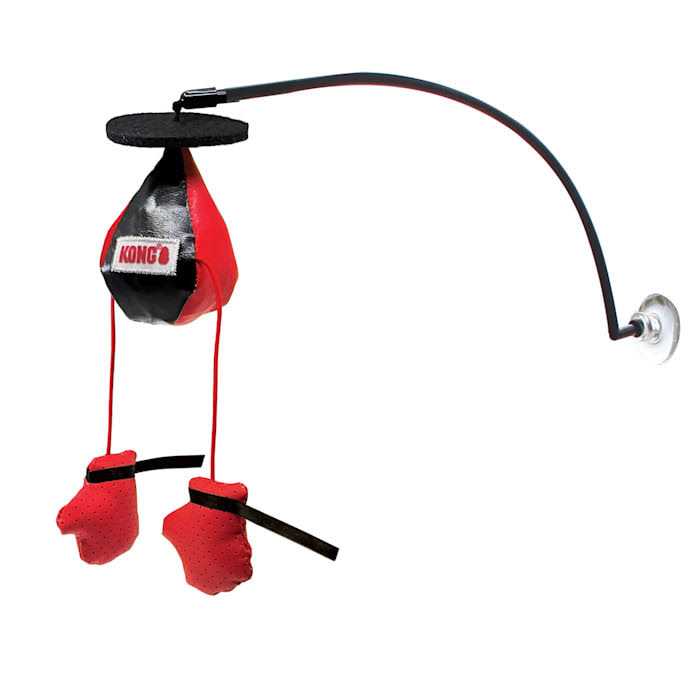 Window Cat Toy I852