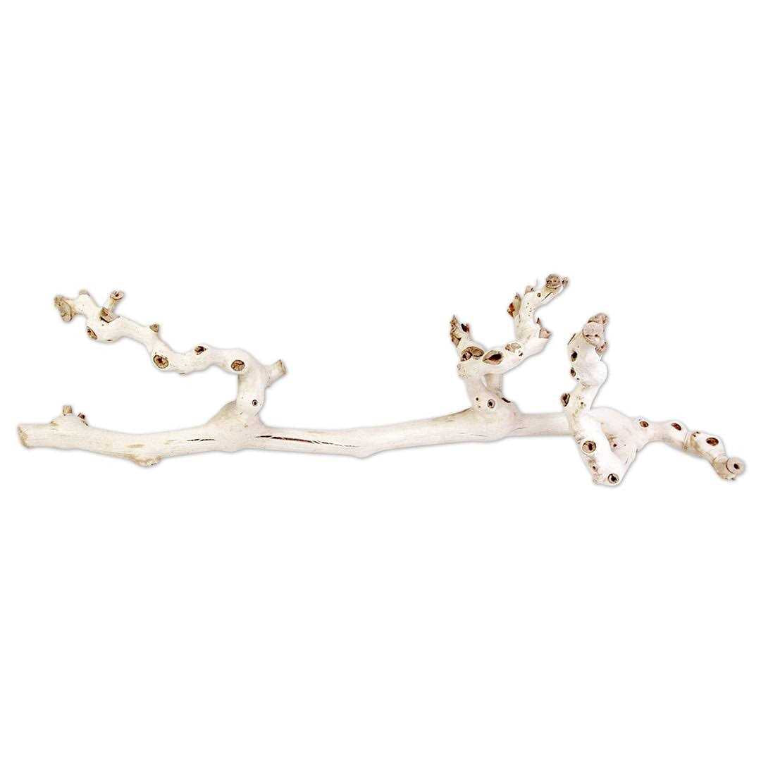 Grapewood Branch Z163591