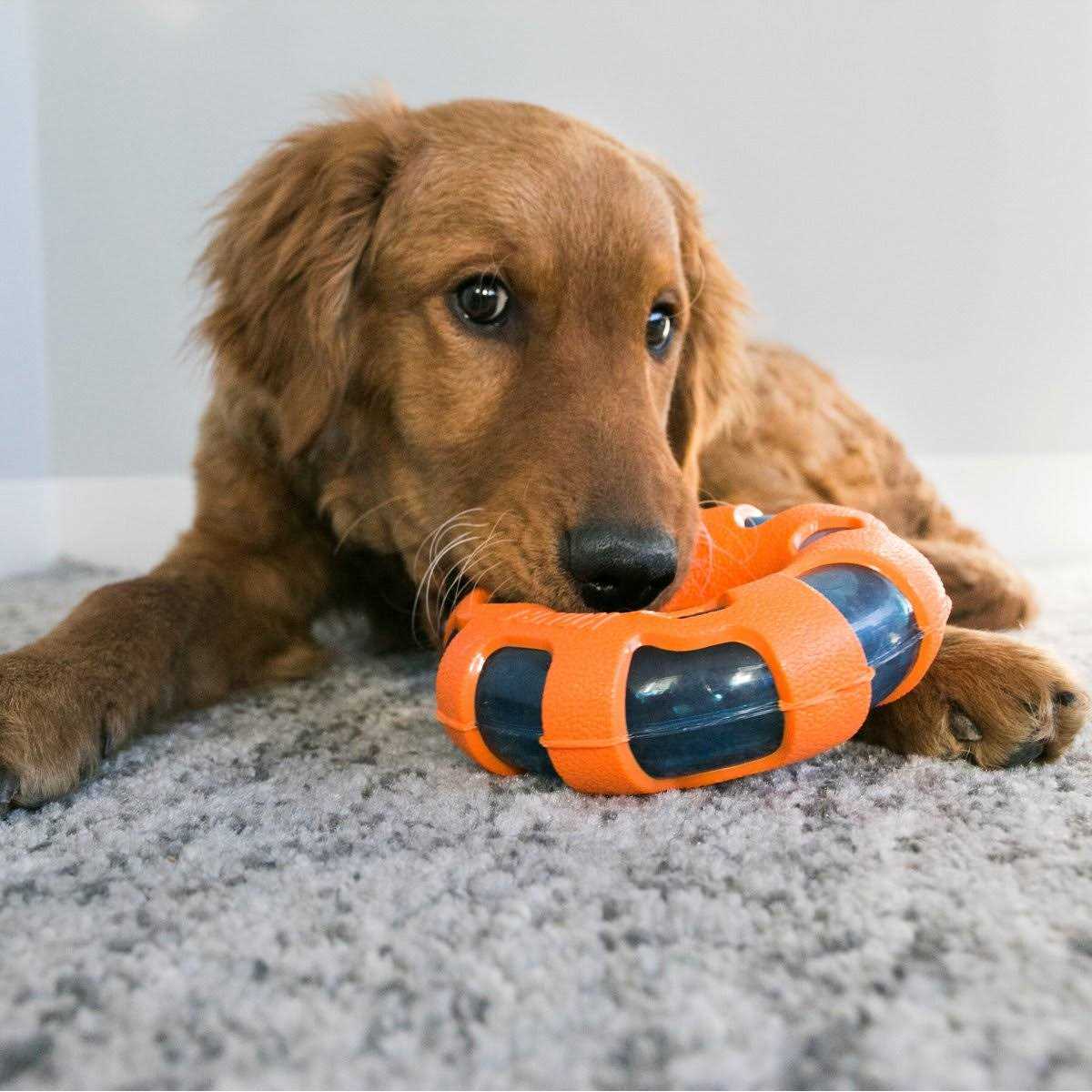 Ball Dog Toy M81896