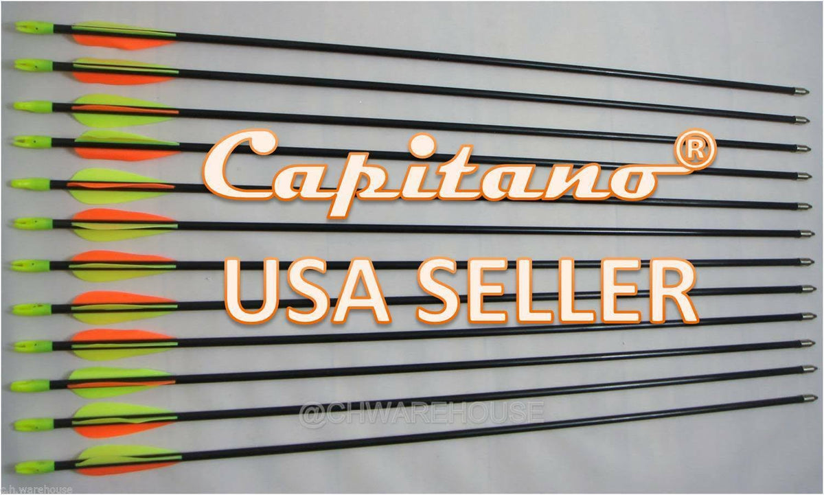 Fiberglass Target Practice Arrows with Nocks and Fletches, 61cm 1/2 Dozen B2978