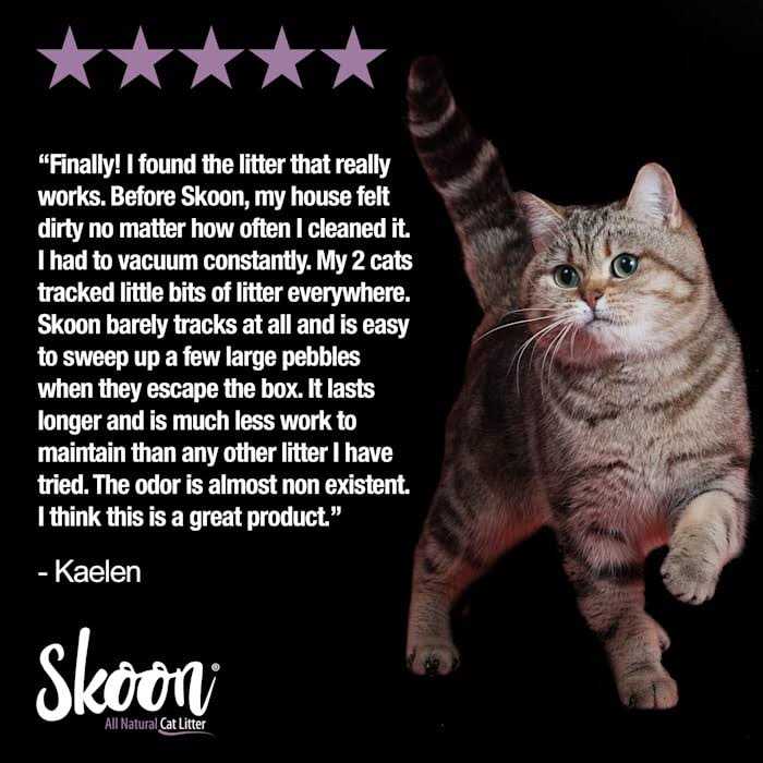 All-Natural Light-Weight Non-Clumping Cat Litter C5308