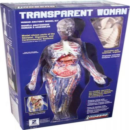 Transparent Woman Figure Model Kit J13829