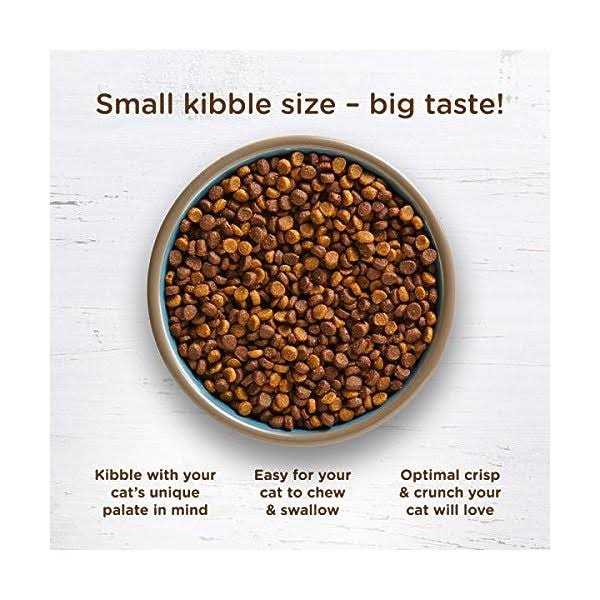 Cat Dry Food R399111