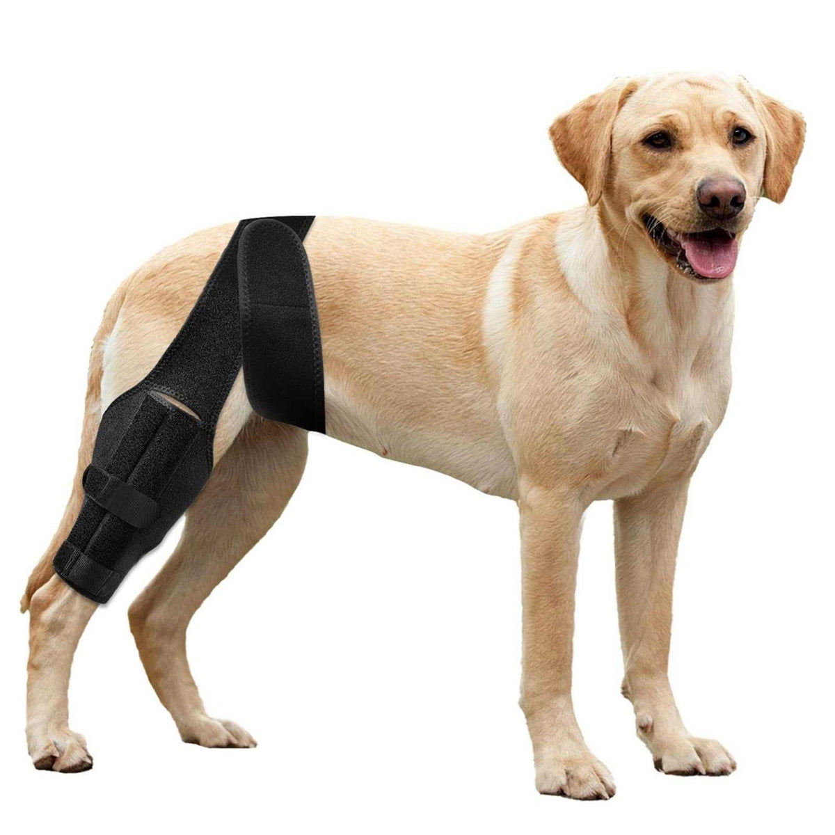 Dog Knee Brace for ACL Cruciate Ligament Injury E700806