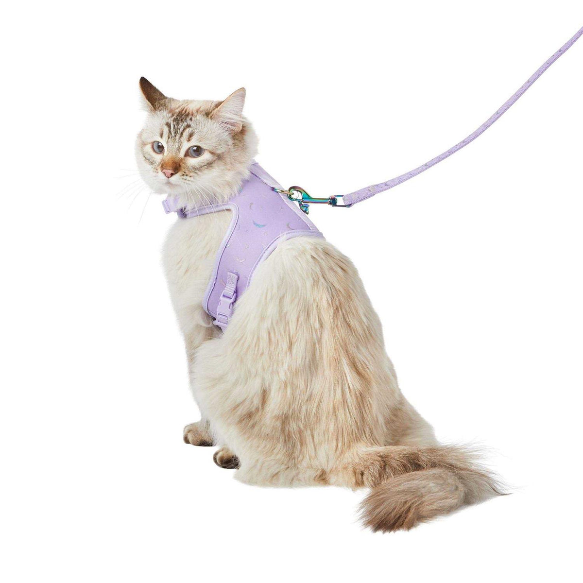 Cat Leash & Harness Combo Z1718