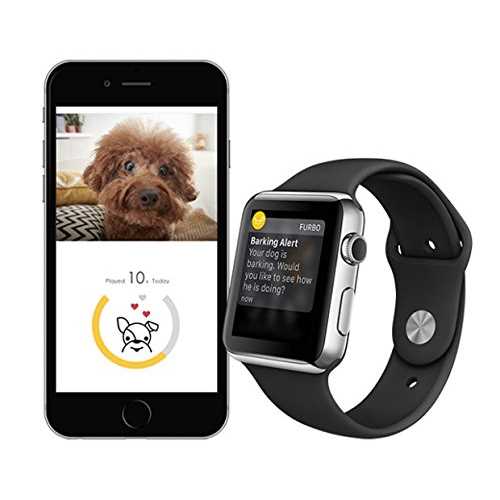 Dog Camera Q23752