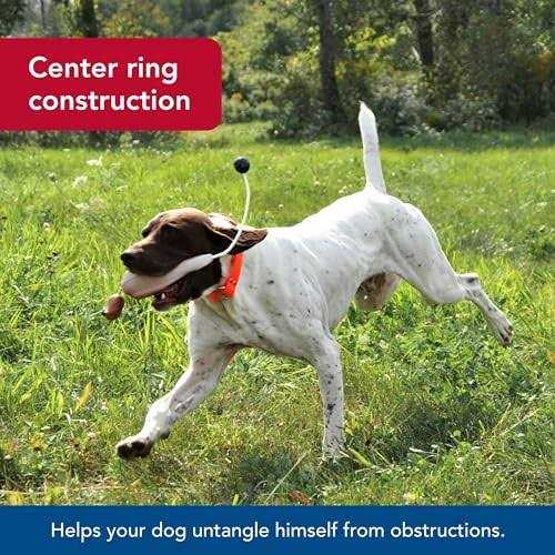 Waterproof Dog Collar F610899