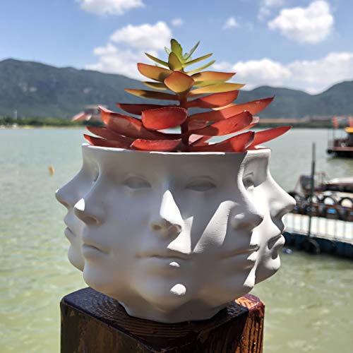 Small Face Planter Vase Indoor Plant Pot L580
