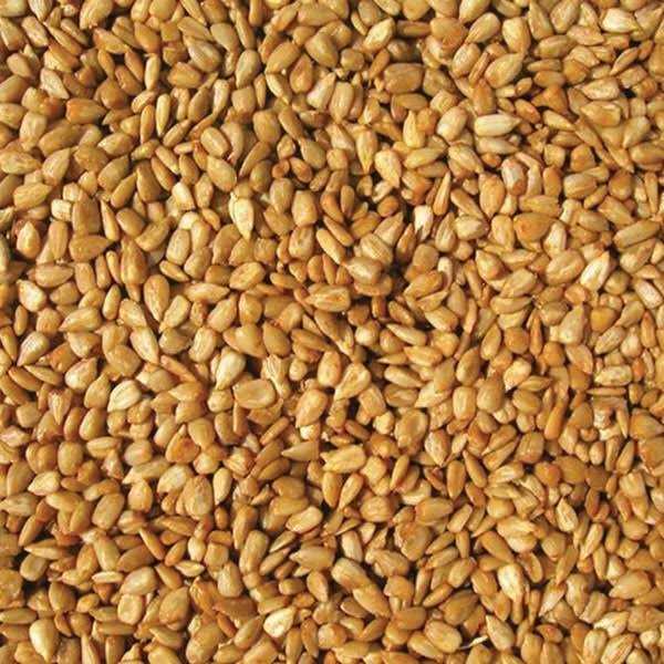 Bird Food Q13389