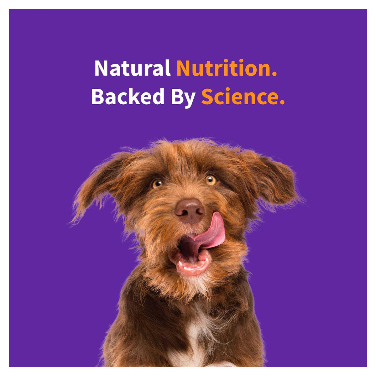 Red Meat Recipe Dry Dog Food W8055