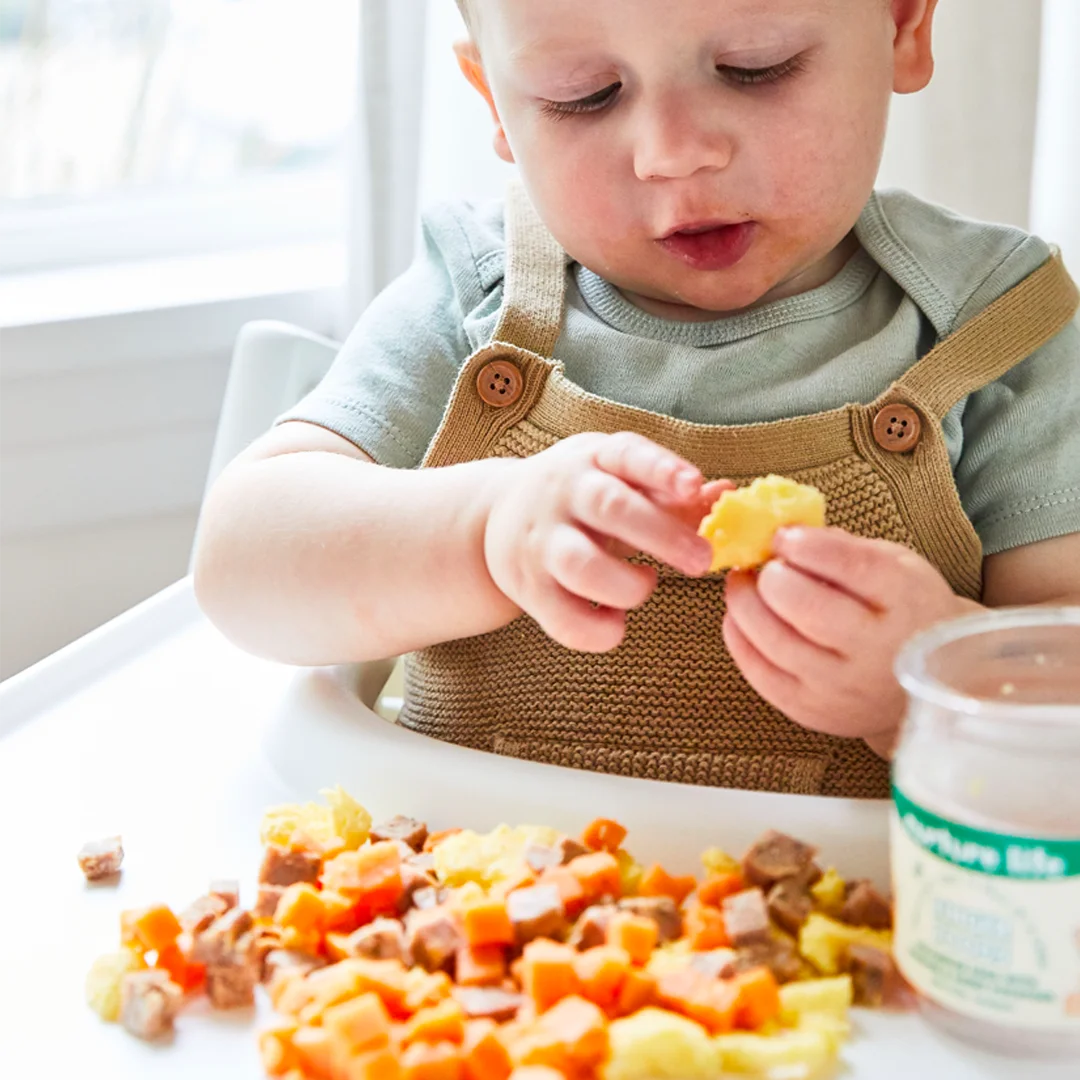 Organic Baby Finger Food 12-Meal Variety Pack O18487