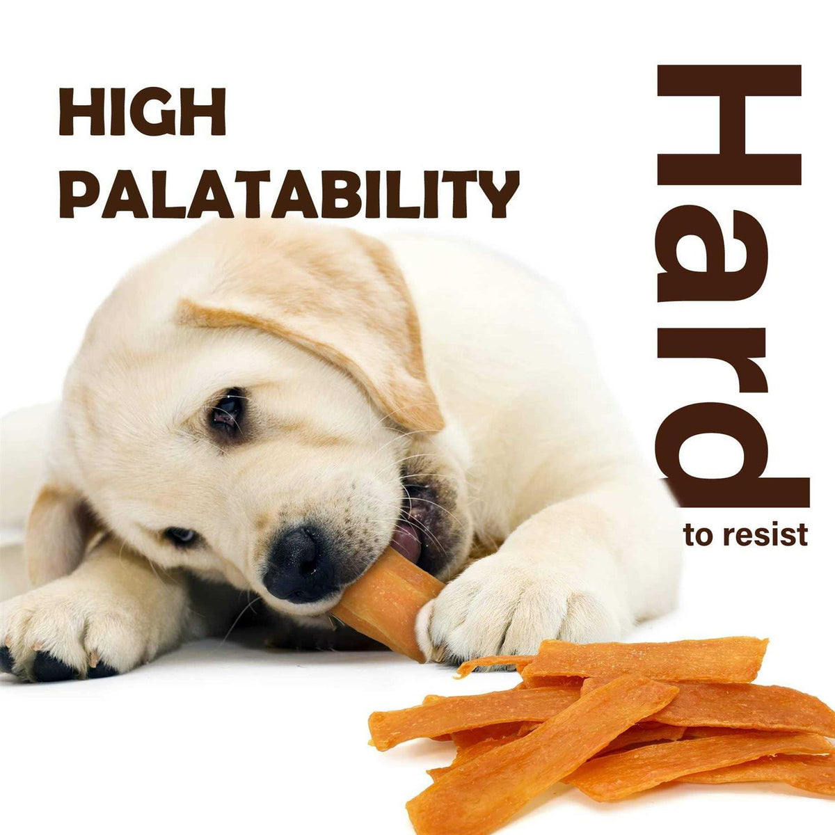 Turkey Tendon Dog Treats F3703