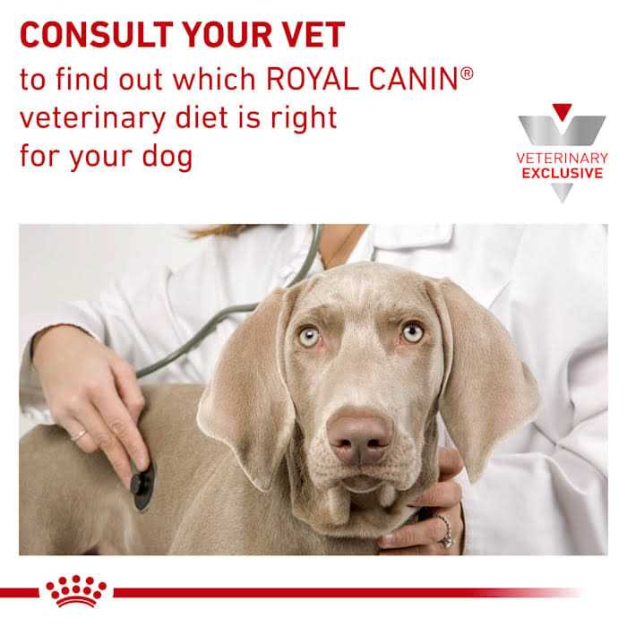 Gastrointestinal Loaf Canned Dog Food C77991