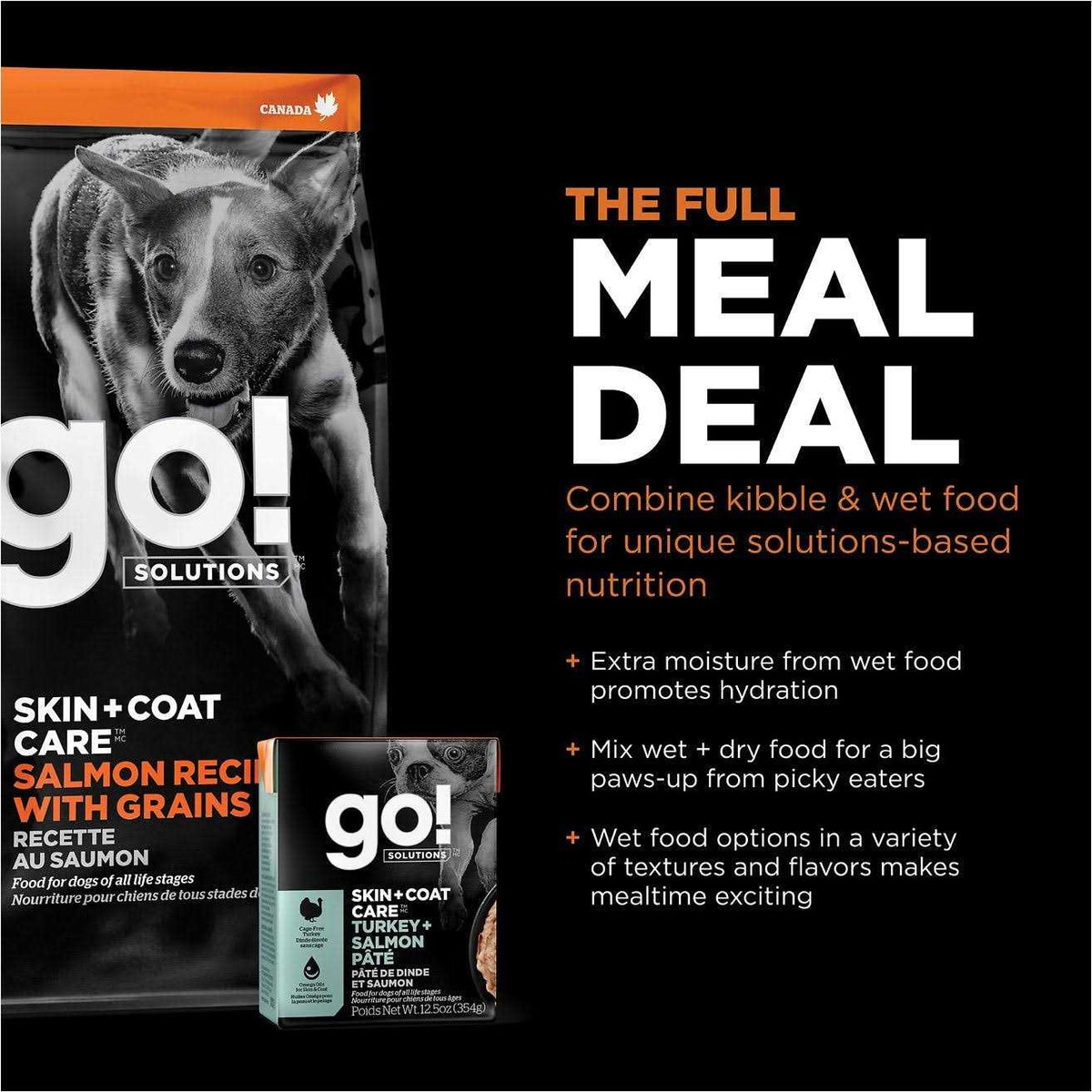Salmon Recipe Dry Dog Food H266