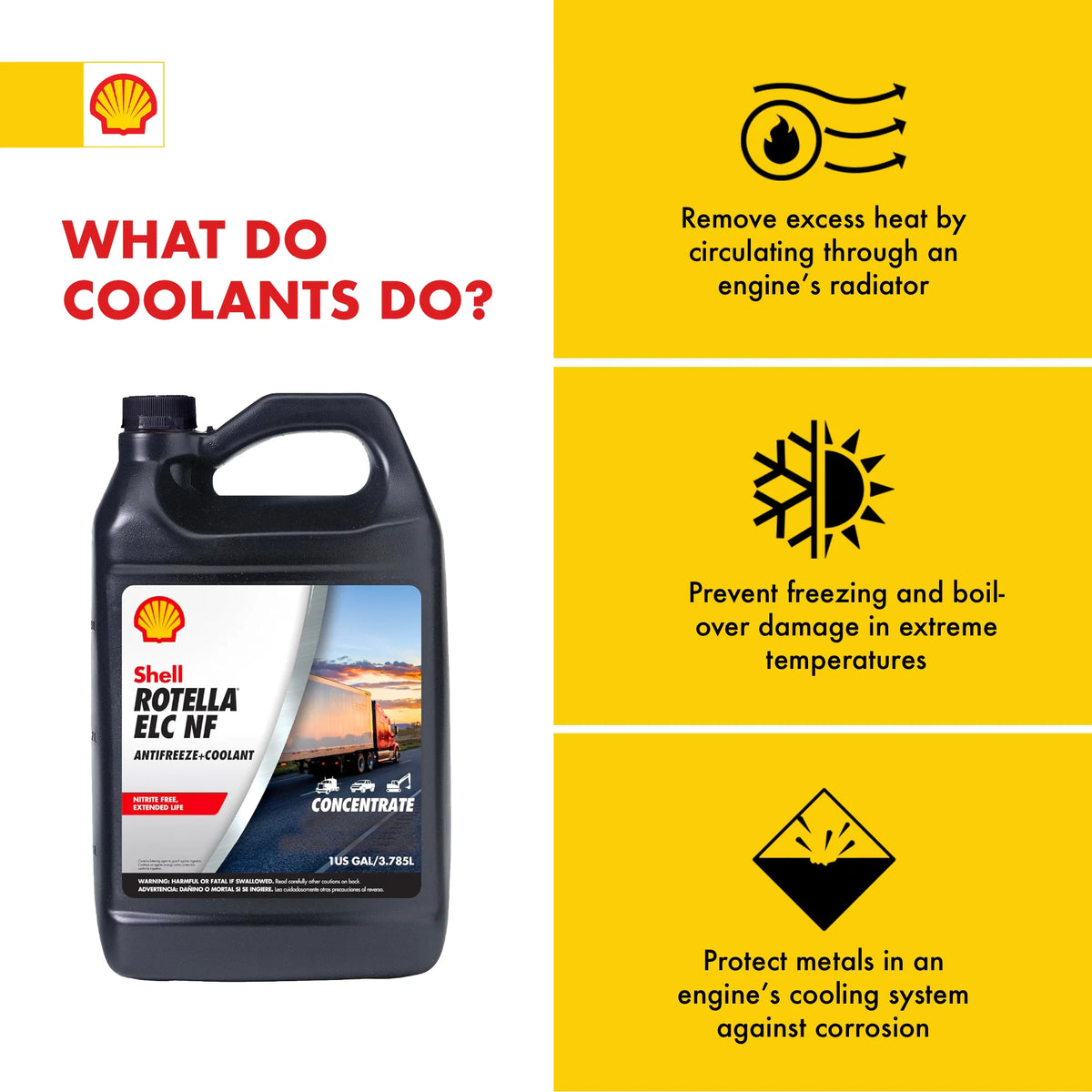 Concentrate Anti-Freeze + Coolant, 1 Gallon T666136