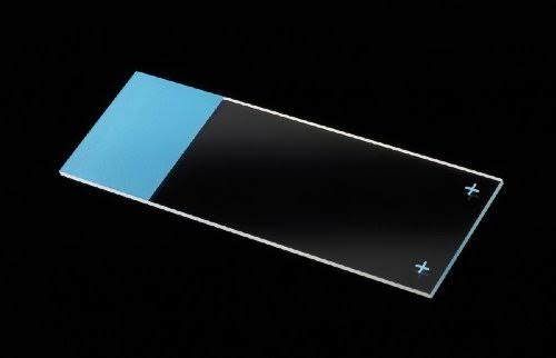 Positive Charged Frosted Microscope Slides C9792
