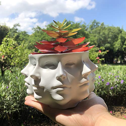 Small Face Planter Vase Indoor Plant Pot L580