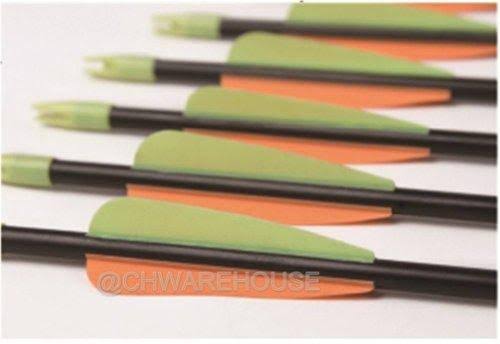 Fiberglass Target Practice Arrows with Nocks and Fletches, 61cm 1/2 Dozen B2978