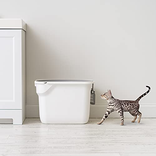 Rectangular Top Entry Cat Litter Box with Scoop, Black/Gray Z619