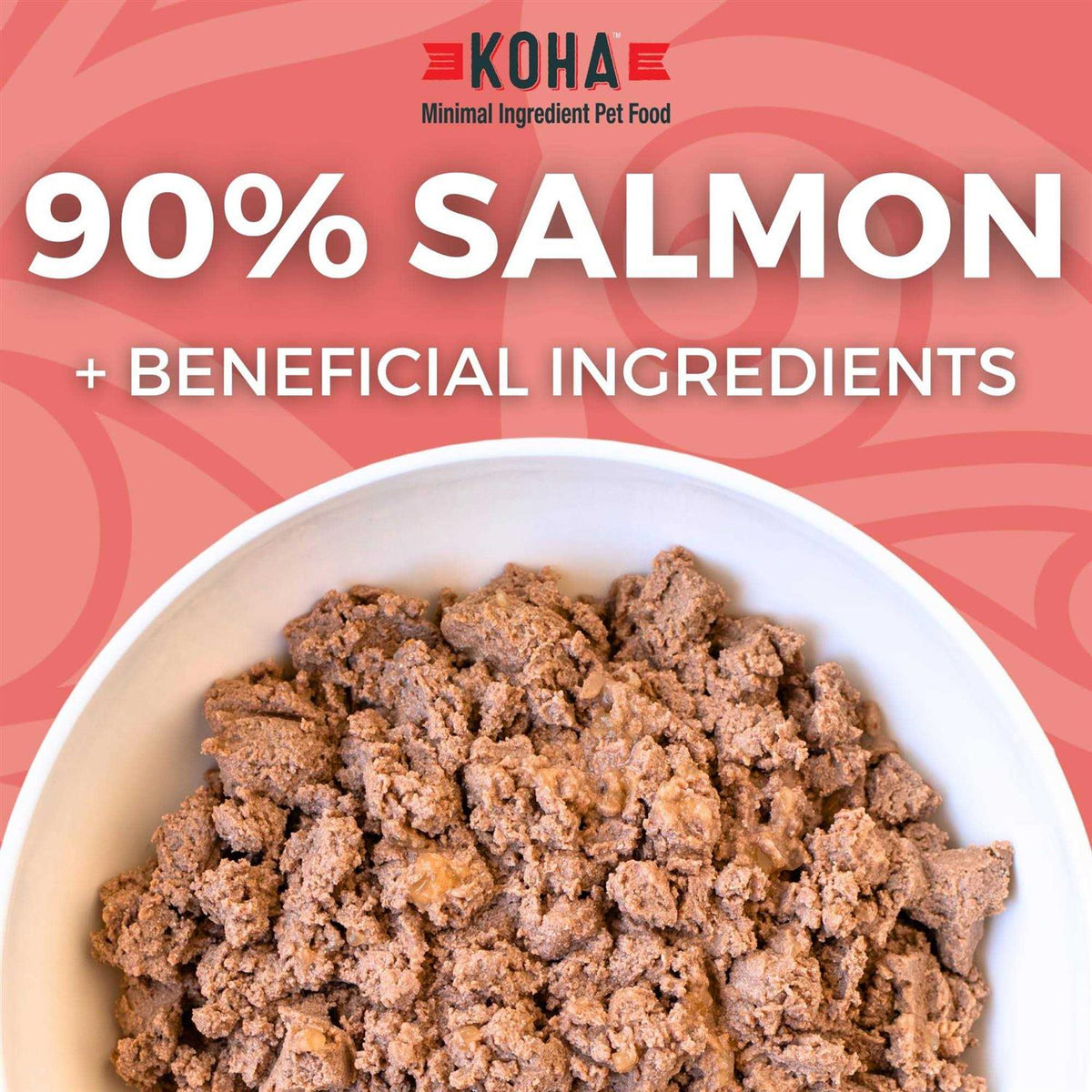 Grain & Potato Free Limited Ingredient Diet Salmon Entree with Pumpkin Canned Dog Food U7265