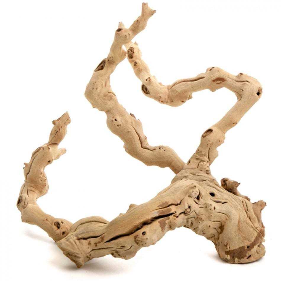 Grapewood Branch Z163591