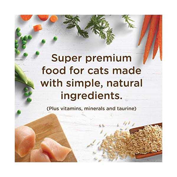 Cat Dry Food R399111