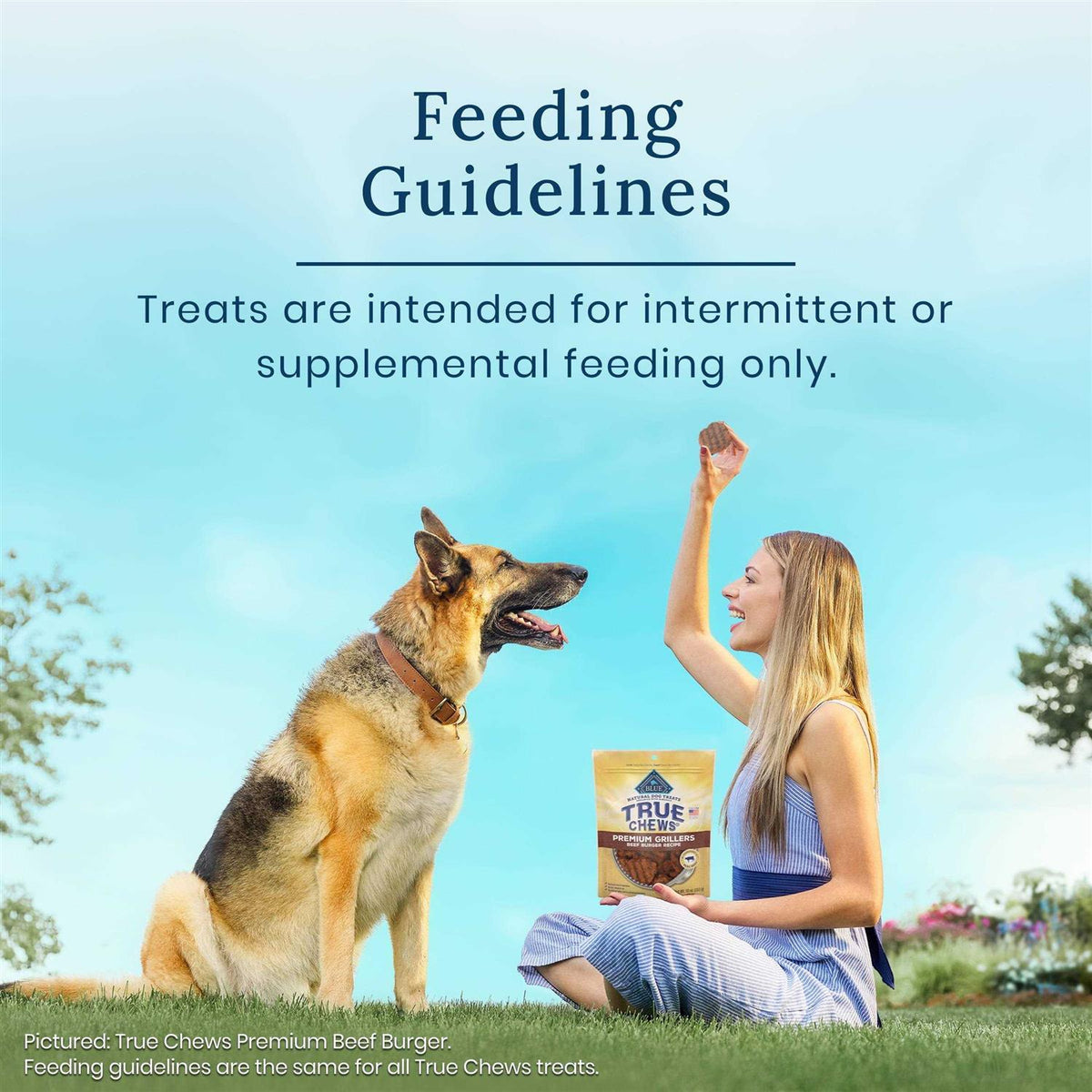 Premium Jerky Cuts Dog Treats H725445