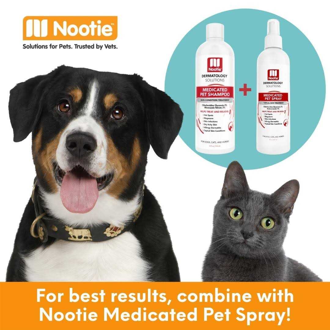 Medicated Antimicrobial Shampoo R854653