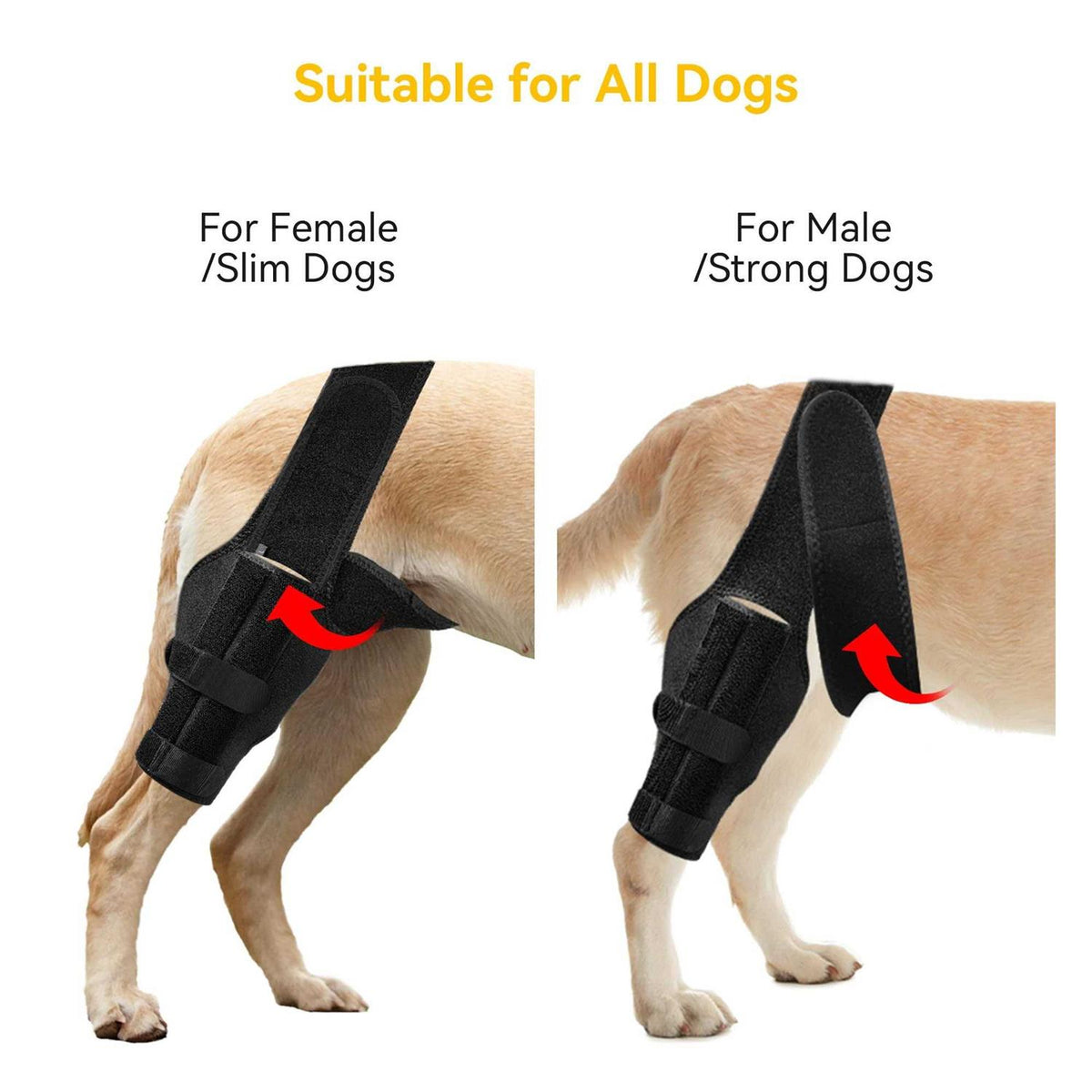 Dog Knee Brace for ACL Cruciate Ligament Injury E700806