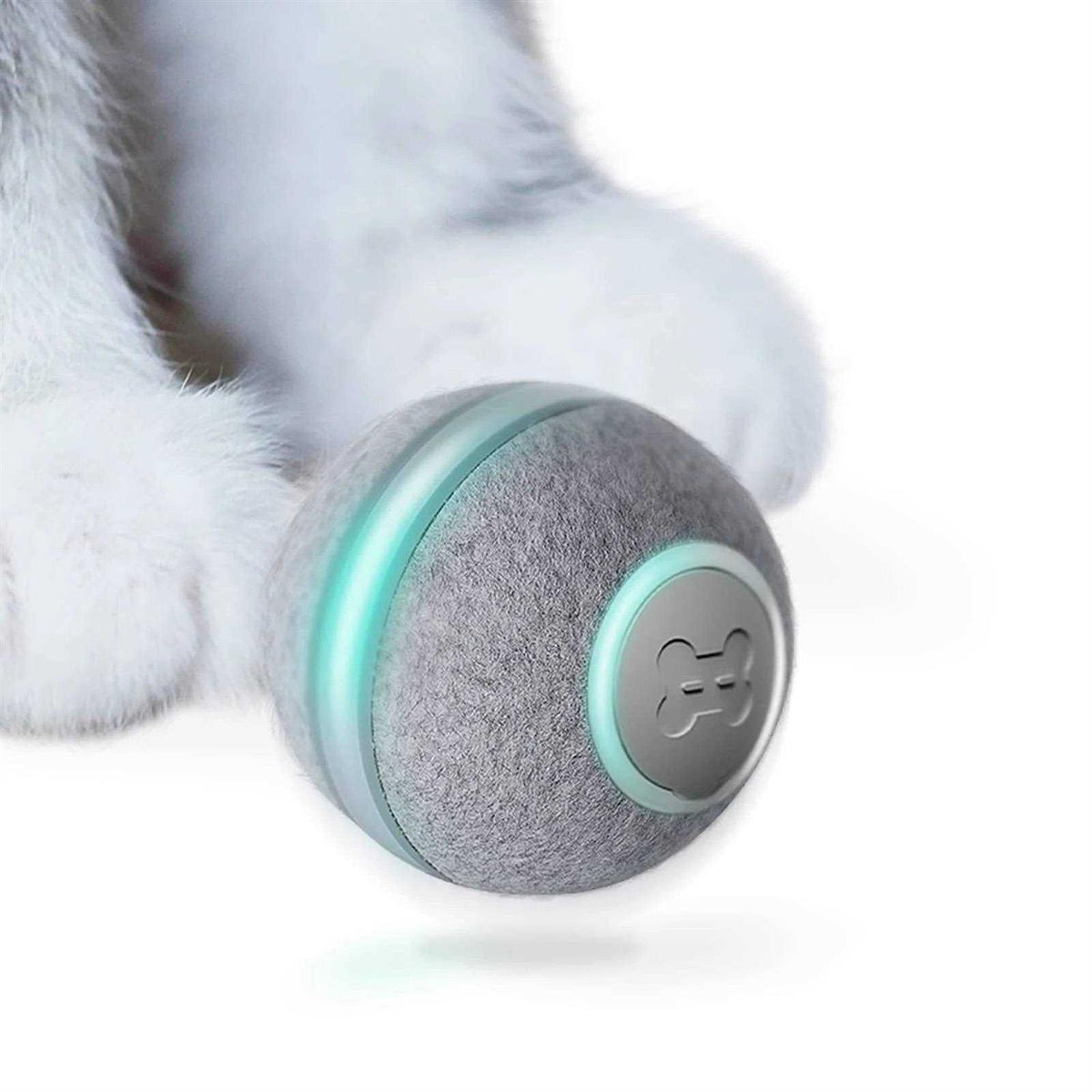 Interactive Cat Toy W218