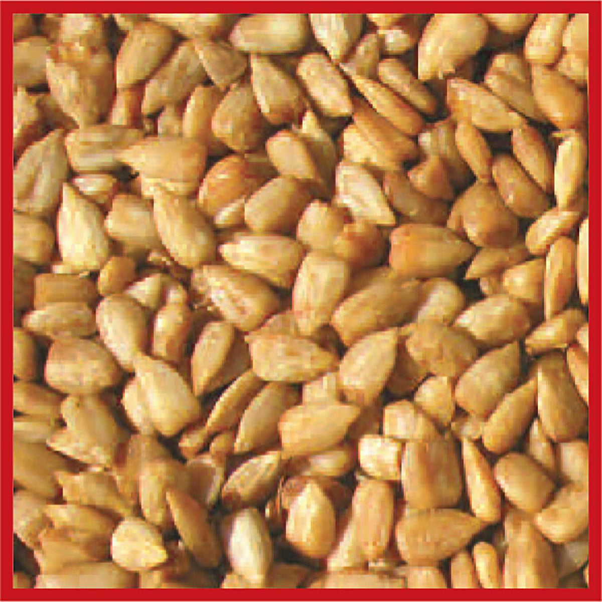 Bird Food Q13389