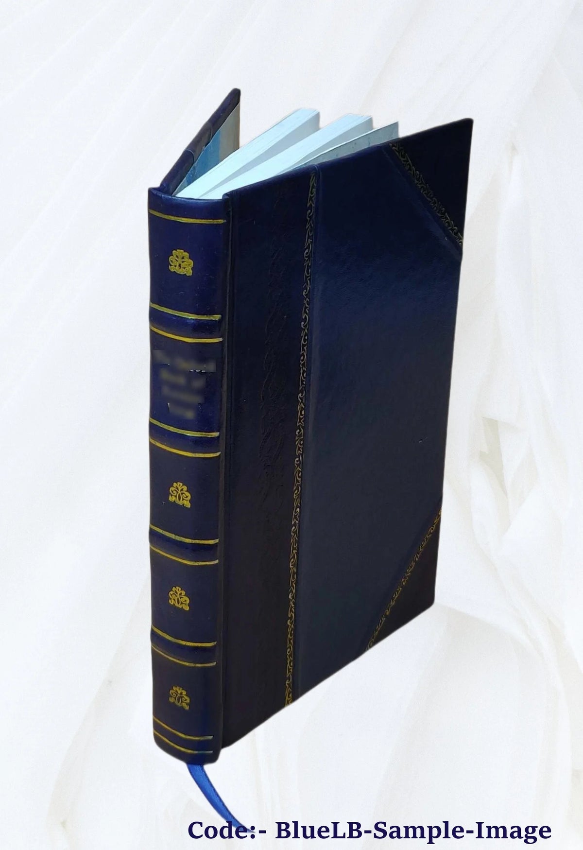 Leather Bound Book L836604