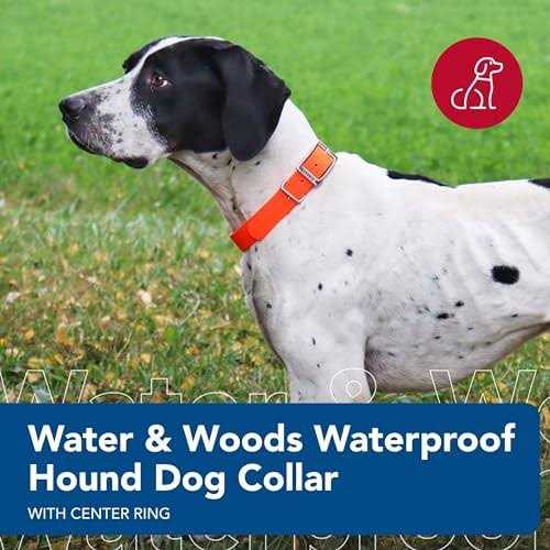 Waterproof Dog Collar F610899