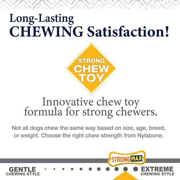 Strong Chew Wishbone Dog Toy V1840