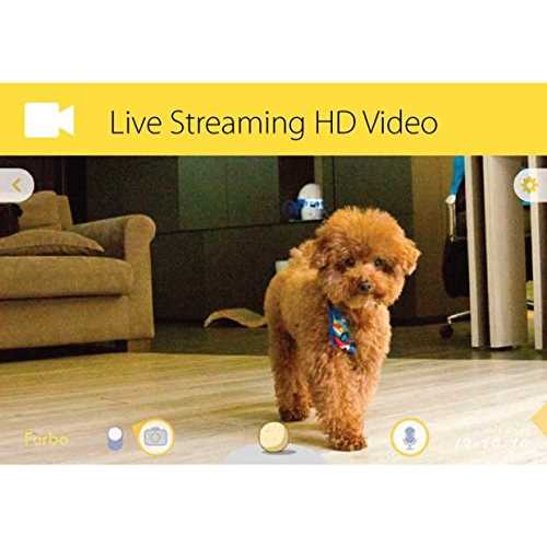 Dog Camera Q23752