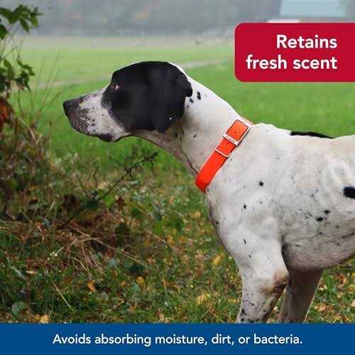 Waterproof Dog Collar F610899