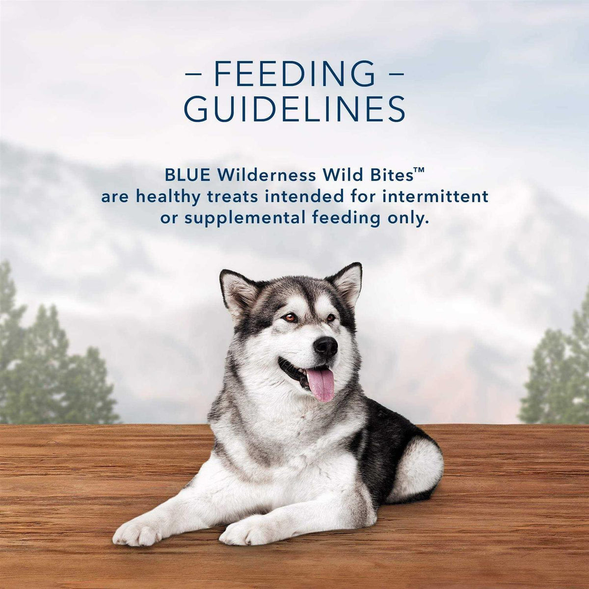 Wild Bites Pet Supplies Q629