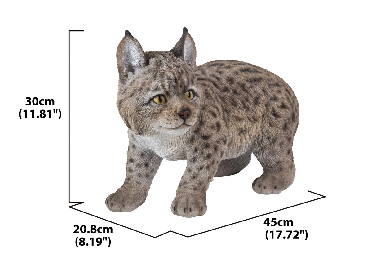 Lynx Kitten Statue V282338