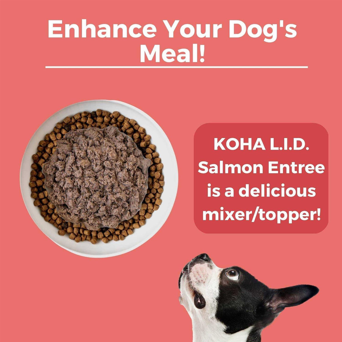 Grain & Potato Free Limited Ingredient Diet Salmon Entree with Pumpkin Canned Dog Food U7265