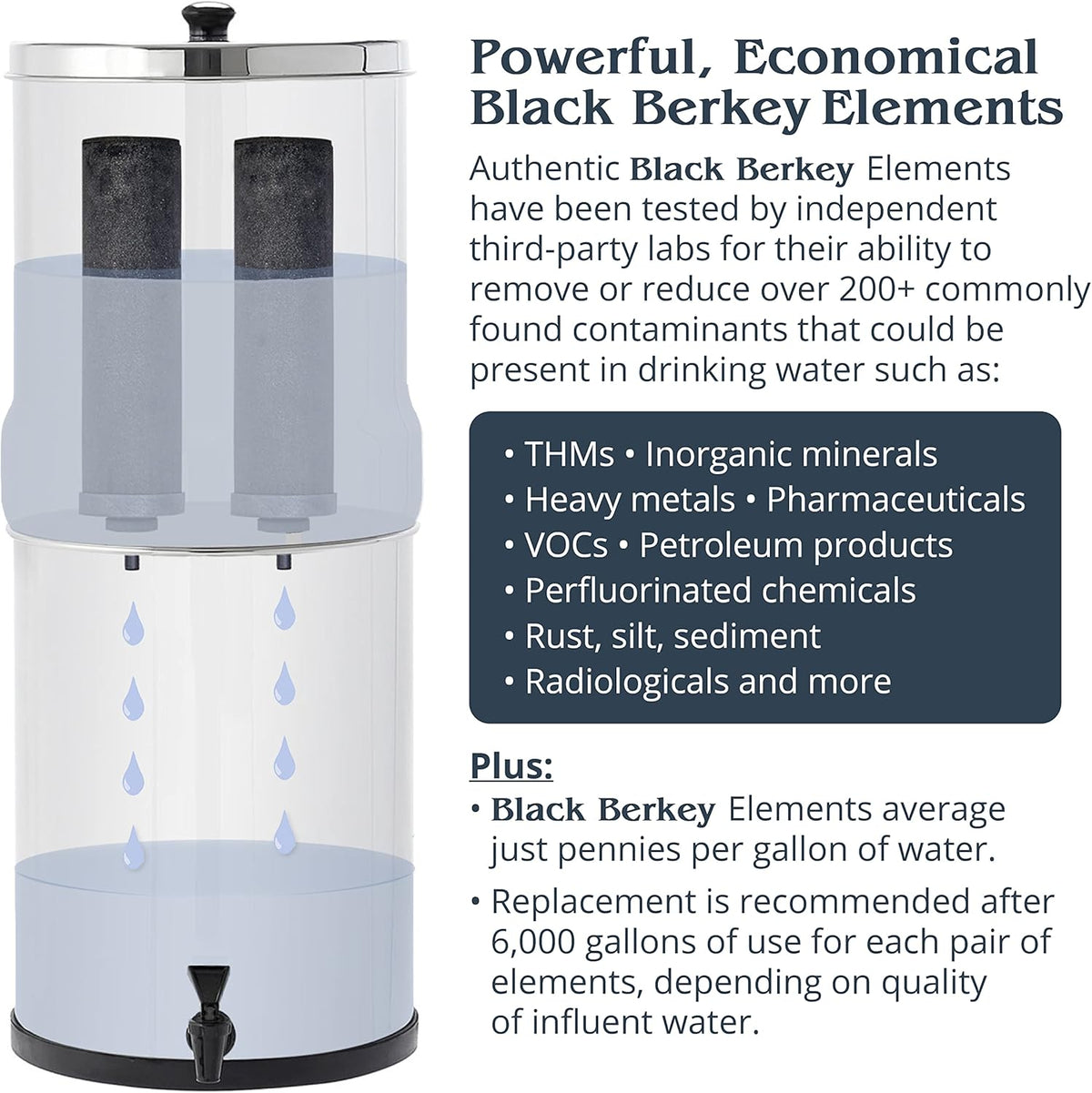 Black Berkey Elements Filters (Set of 2) O84289